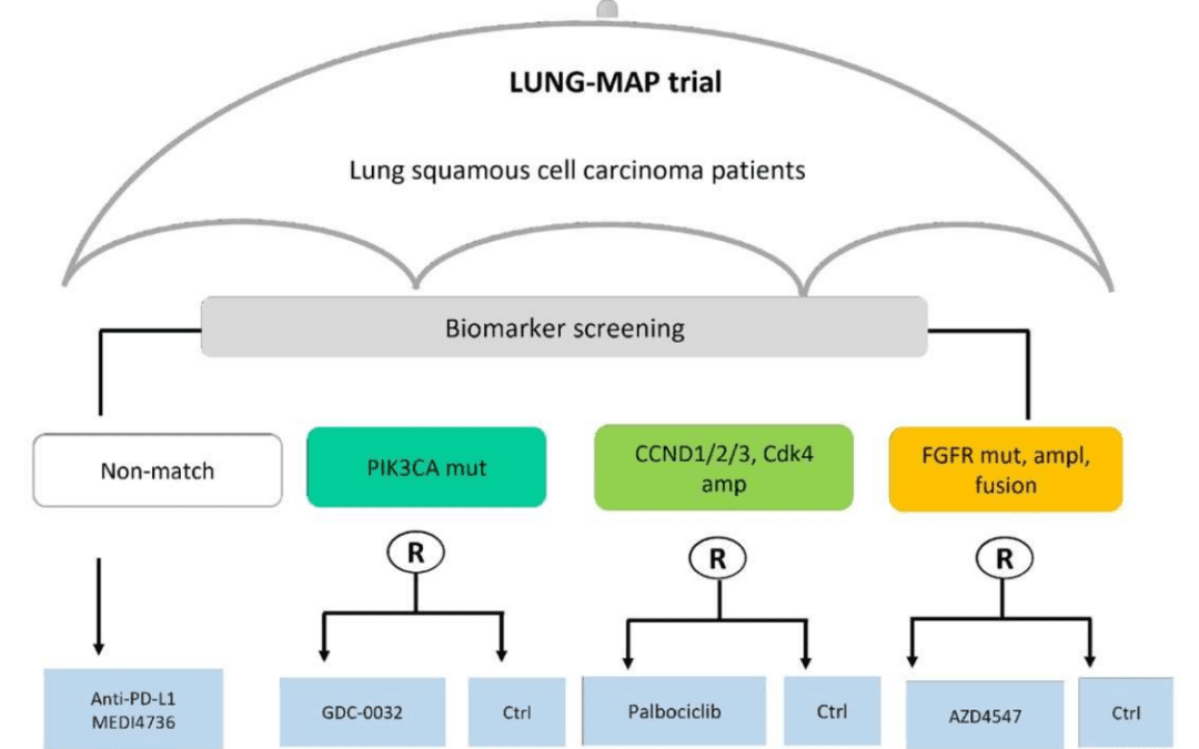 Precision Medicine: An Introduction to Umbrella and Basket Trials