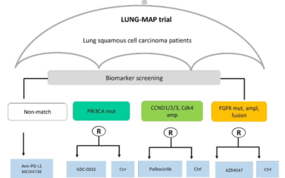 Precision Medicine: An Introduction to Umbrella and Basket Trials